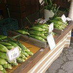 みどりの大地 - 店で並んでいる味来という品種のトウモロコシ