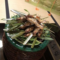 菊乃井 本店 - 