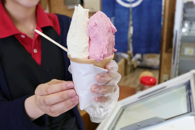 わかさやアイスクリームガーデン - 古館（ジェラート・アイスクリーム）の写真