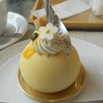 シンフラ - カモミールマンゴー