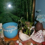 あだん - トイレ内の小物