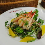 ラ・ベットラ・ダ・オチアイ - ういきょうとオレンジ入り甘海老のサラダ