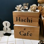 Hachi Cafe - 