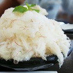 かどしげ農園 カキ氷店 - 画像よりもう少し透明感のある白です