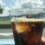 アイスコーヒー 2019 夏