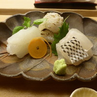 懐石料理 桝田 - お造り