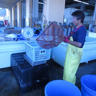 江戸前穴子確保の為小柴漁港他市場廻りは欠かさず行っております