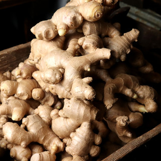 生姜料理 しょうが_2