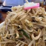 極濃タンメン フタツメ - 「濃厚タンメン」「野菜増し」「麺大盛り」接写。この「野菜」、通常サイズの「並盛り」で 450g が使用されているとのことだ。「野菜増し」は通常サイズの2倍と言うことだが、さすがにそこまでの量はなさそうである。