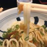 江戸堀 木田 讃岐うどん - 