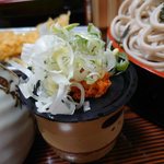 青葉 直利庵 - たっぷりの薬味です