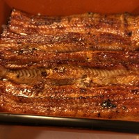 うなぎ川勢 - 