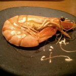 大幸庵 玄 - 海老