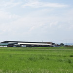 ビストロ セレニテ - 