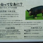 とんかつとカツカレーの店 キセキ食堂 - 本物の黒豚は、６ヶ所に白い部分があるんですって……