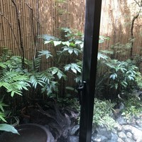 伊豆の旬 やんも 南青山店 - 