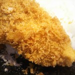 とんかつとカツカレーの店 キセキ食堂 - 最初は、やっぱり岩塩ですね……