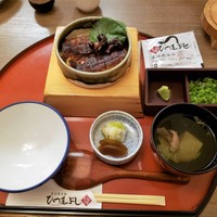 しら河 浄心本店 - 肝入りしら河ミニひつまぶし