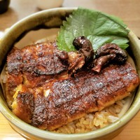しら河 浄心本店 - 肝入りしら河ミニひつまぶし
