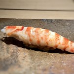 菊鮨 - 車海老（志賀島・天然もの）・・甘くて美味しい。