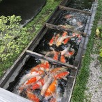 蕎麦処つゆ下梅の花 本店 - 