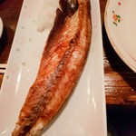 鳥のきんちゃん - 