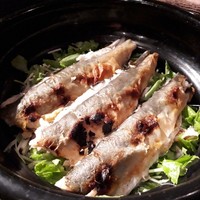 たでの葉 - 天然鮎の炊き込み御飯
