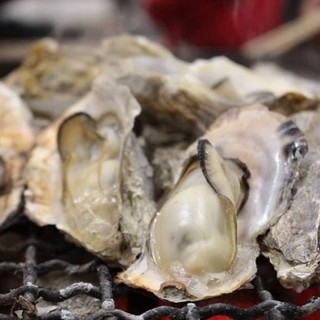 牡蠣小屋&海鮮BBQ はまさき商店_2