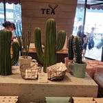 アルフレッド ティー ルーム - 