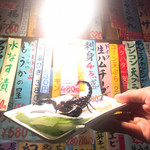 種よし - サソリ(2匹目)