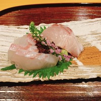 しゅん逢 紗々木 - 