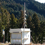 おうちの食堂 - 