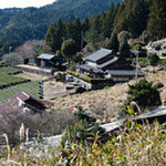 おうちの食堂 - 