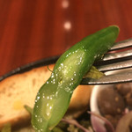 オーガニックハウス - インゲン