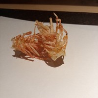 天ぷらあら木 - 
