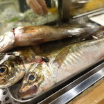 居酒屋　純ちゃん - 