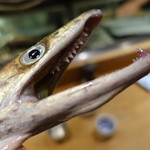 居酒屋　純ちゃん - 