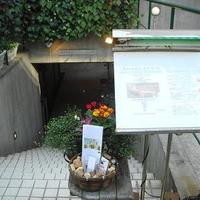 オオハラ エ シーアイイー - 欲望のままに我儘にぃ〜