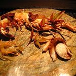 銀座 水野 - 手長海老 焼き雲丹のせ