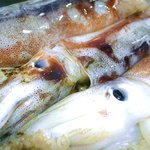 Shimbashi Yonchoume Sakaba Wattsuri - 八戸の漁師さん直送のスルメイカは肝まで美味しく食べられるほどの鮮度！