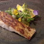 カノーヴァ - 本日の鮮魚（豊後水道のマツダイ）