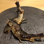 旬菜 おぐら家 - 天然鮎炭火焼き