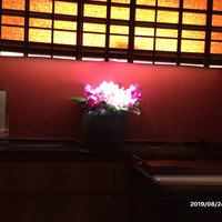 日本料理　時宜 - 