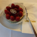 Café Landtmann - フランボアーズのケーキ