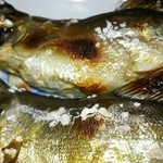 青木屋 - 鮎アップ