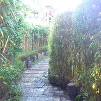 九つ井 本店 - タケの小路を抜けると…