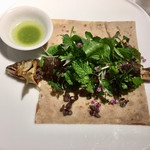 レフェルヴェソンス - 