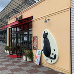 Chat noir - 