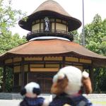 金谷 - 俳聖殿は芭蕉の生誕300年を記念して1942年に建てられたもので、芭蕉の旅姿を表してるんだって。屋根は笠、八角形のひさしは蓑(みの)だそう。ちびつぬ「おもしろい形ね～」