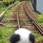 金谷 - 日本100名城の伊賀上野城を観光した後、ボキらは伊賀鉄道・上野市駅からお隣の広小路駅に移動。ちびつぬ「なんだか、のんびりした雰囲気ね～」 